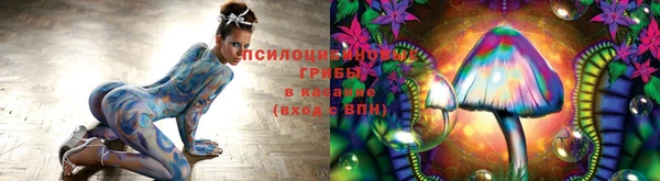 гидропоника Хадыженск