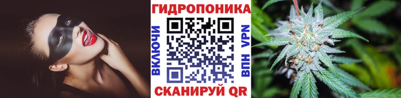 Купить  Аткарск  Марихуана план 